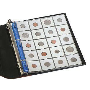 Storage Sheet for 2x2 Coin Holders, 8.5in x 11in, Blue Strip Reinforcement - Pack of 10