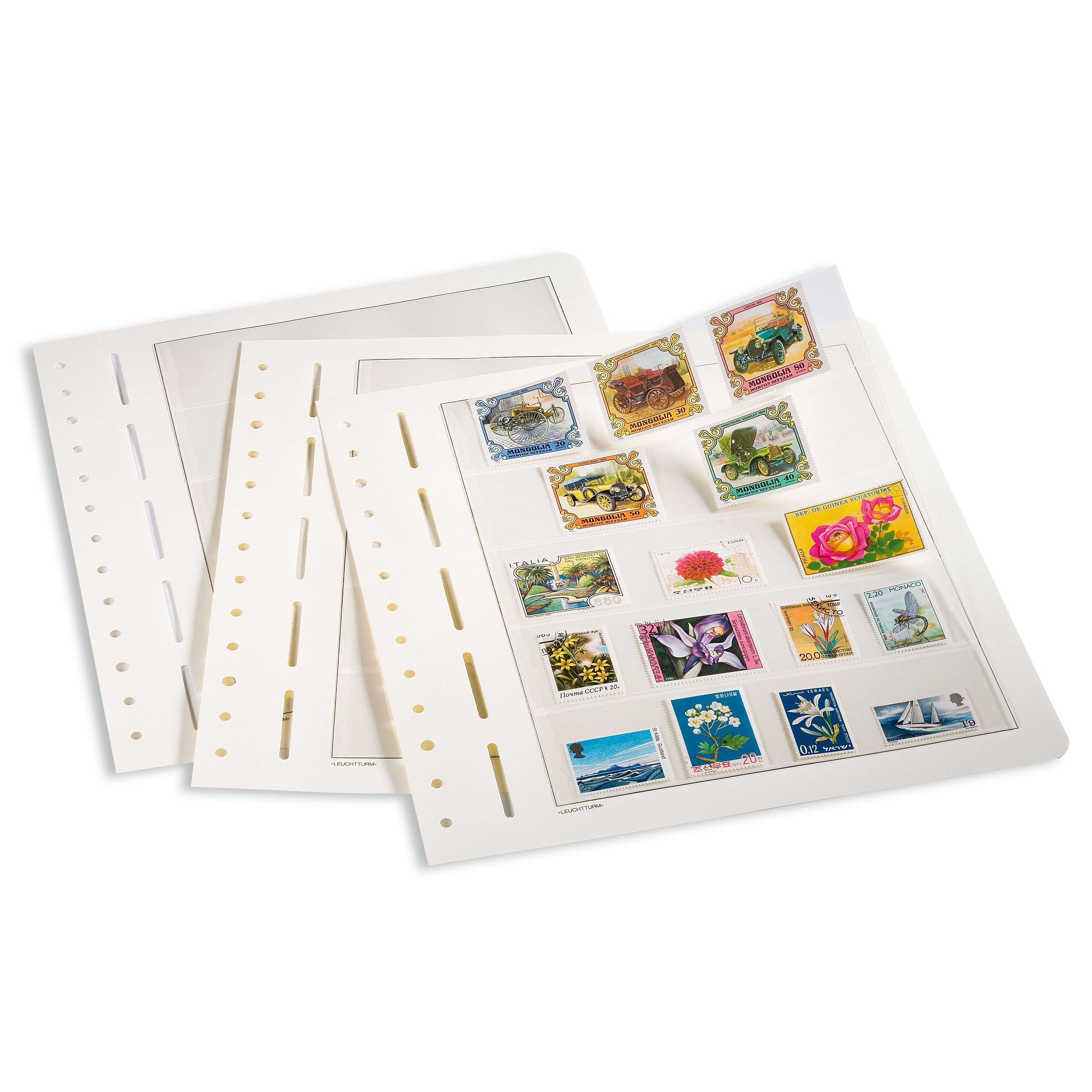 Stamp Collection Book and Album: A First Stamp Album for Beginners,  Organizer for Stamp Collecting - 100 Page Album, 8.5 x 11